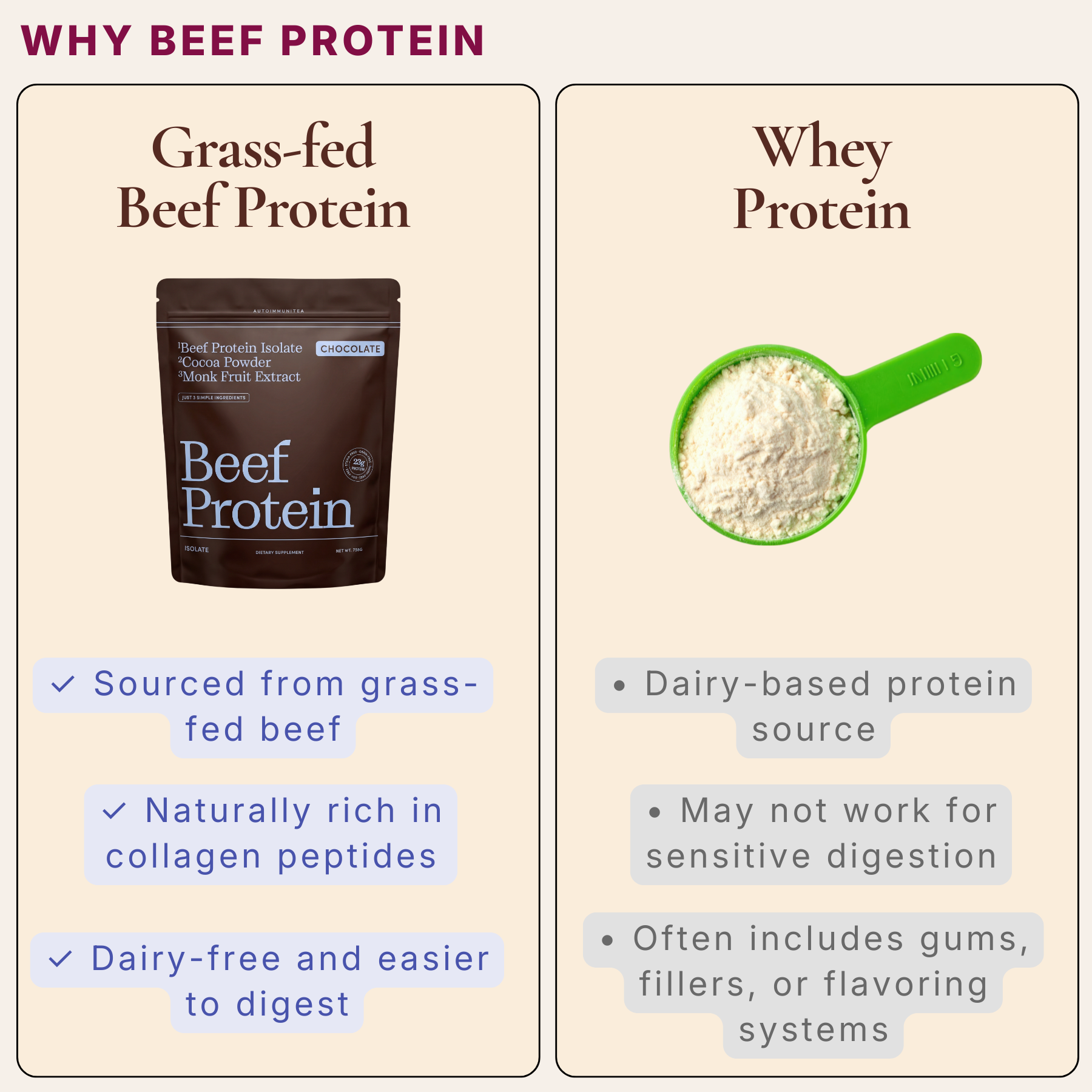 Gut-Friendly Beef Protein Isolate — Chocolate Grass-Fed Protein Powder