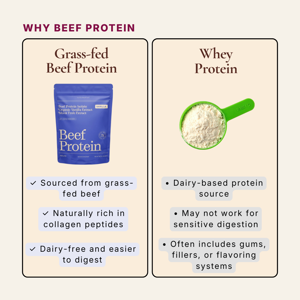 Gut-Friendly Beef Protein Isolate — Vanilla Grass-Fed Protein Powder