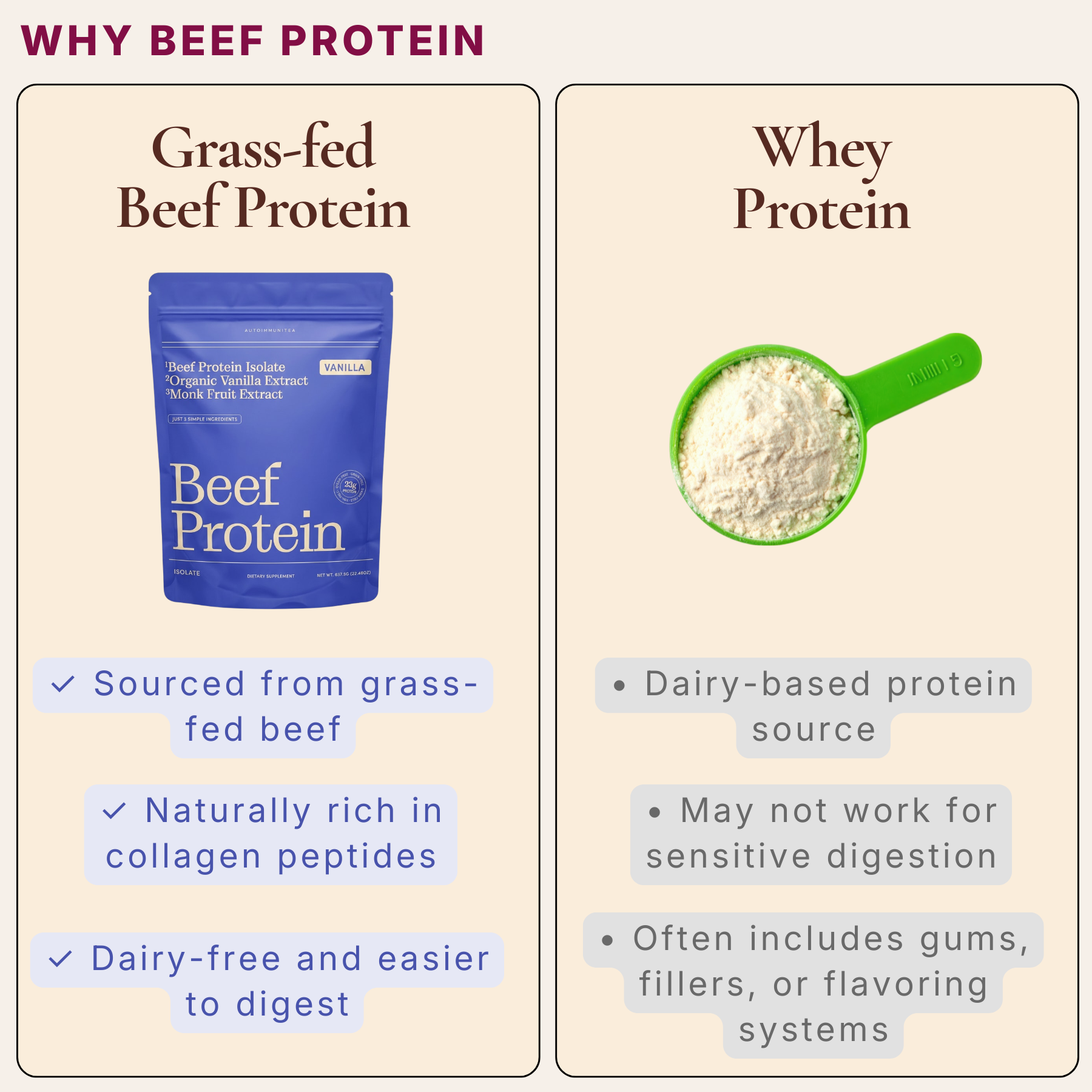 Gut-Friendly Beef Protein Isolate — Vanilla Grass-Fed Protein Powder