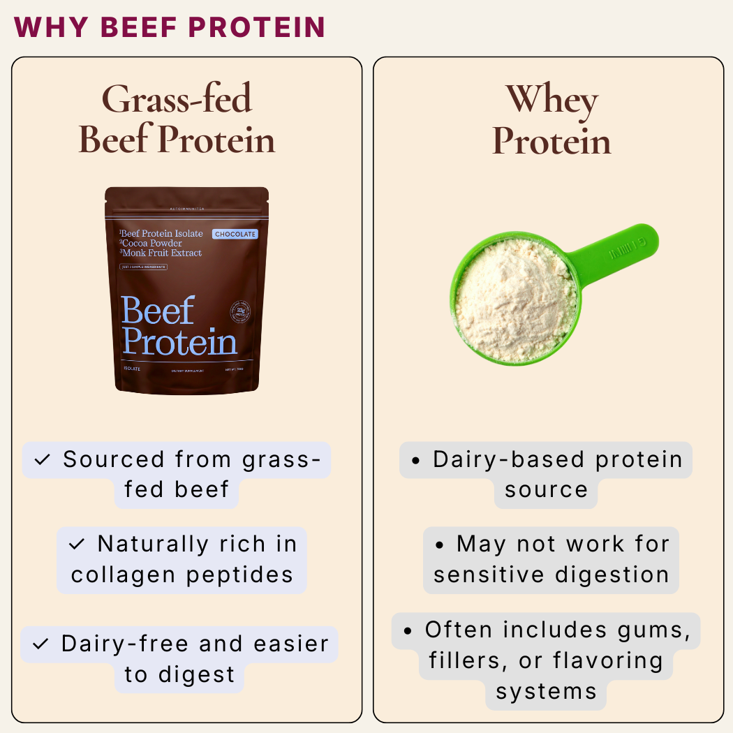 Gut-Friendly Beef Protein Isolate — Chocolate Grass-Fed Protein Powder