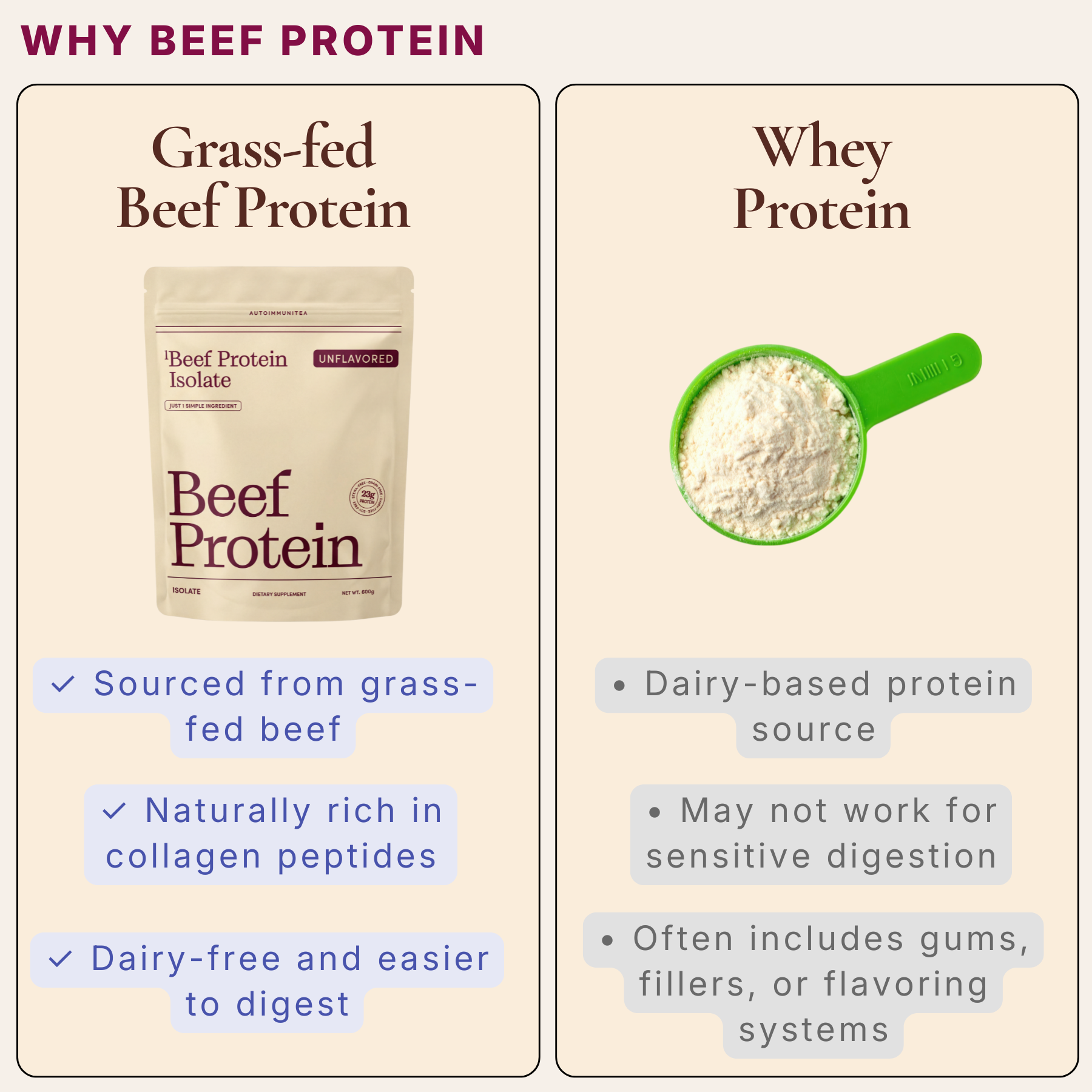 Gut-Friendly Beef Protein Isolate — Unflavored Grass-Fed Protein Powder